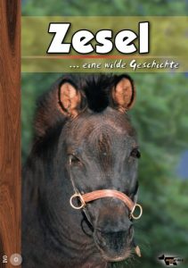 Zesel, eine wilde Geschichte – Michael Geitner